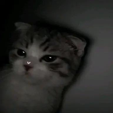 Profile image of ドゥブ