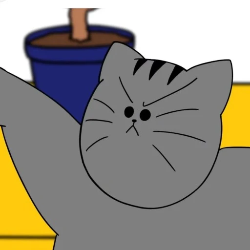 땅땅이🐈‍⬛