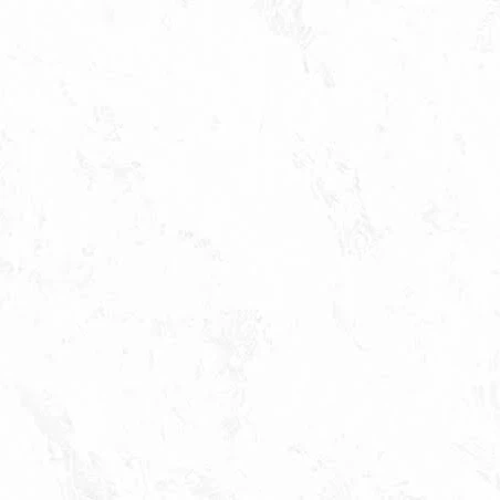なし