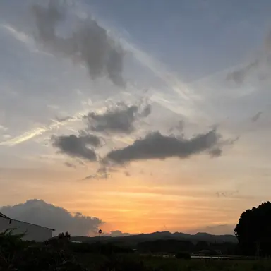 Profile image of Mr.コンプレス