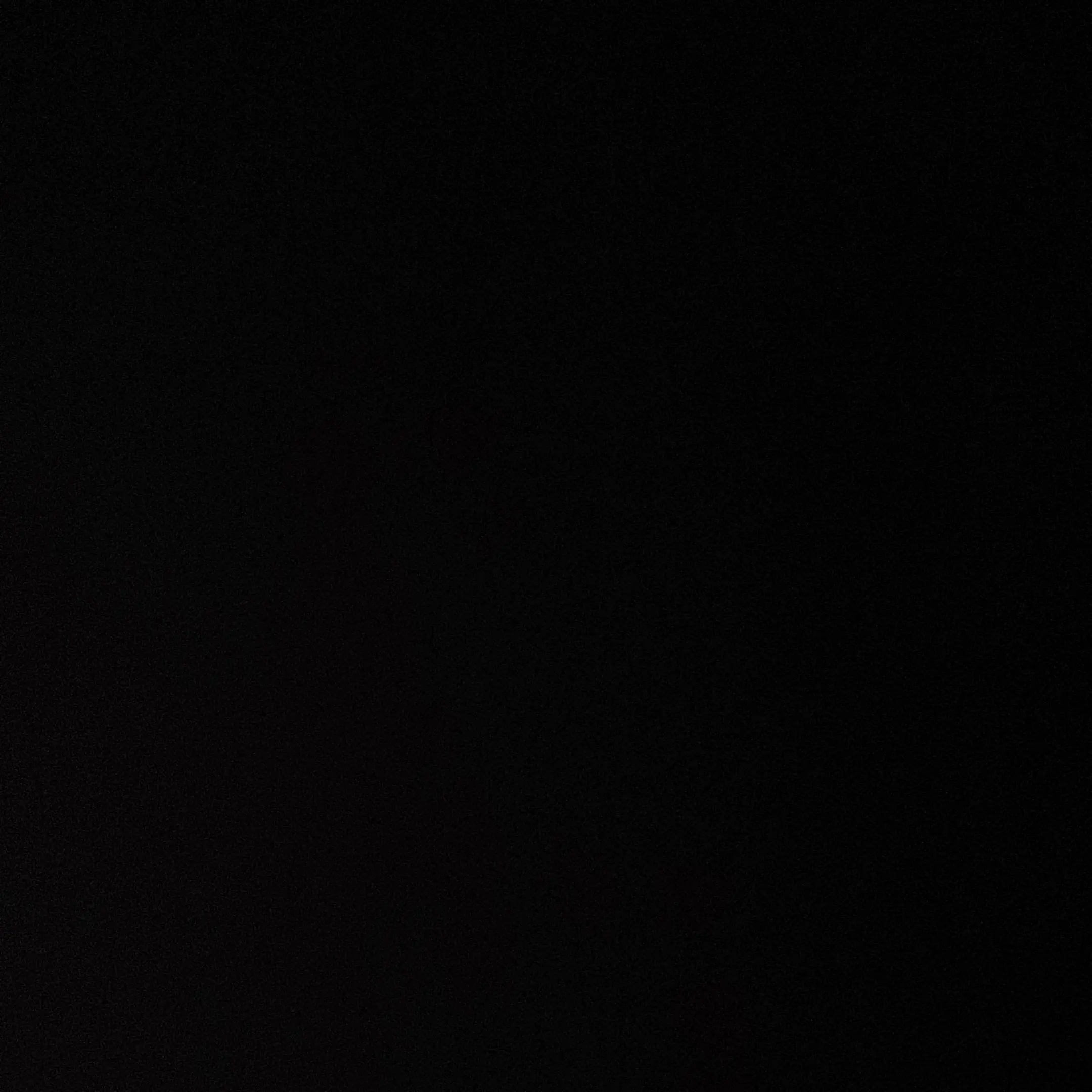 PLLI_STAY의 황현진