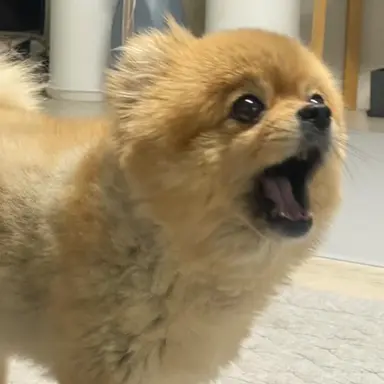 Profile image of 설윤아