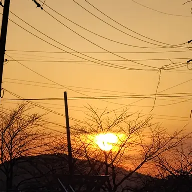 Profile image of 댕댕이