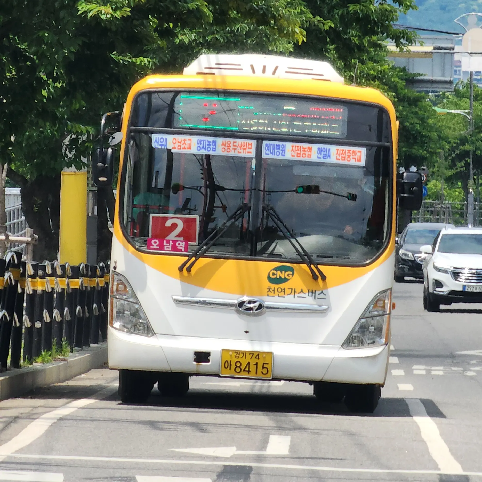 RegalJade4408의 고고프랜즈(고등학교)