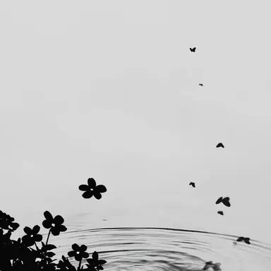 Profile image of 京極風斗