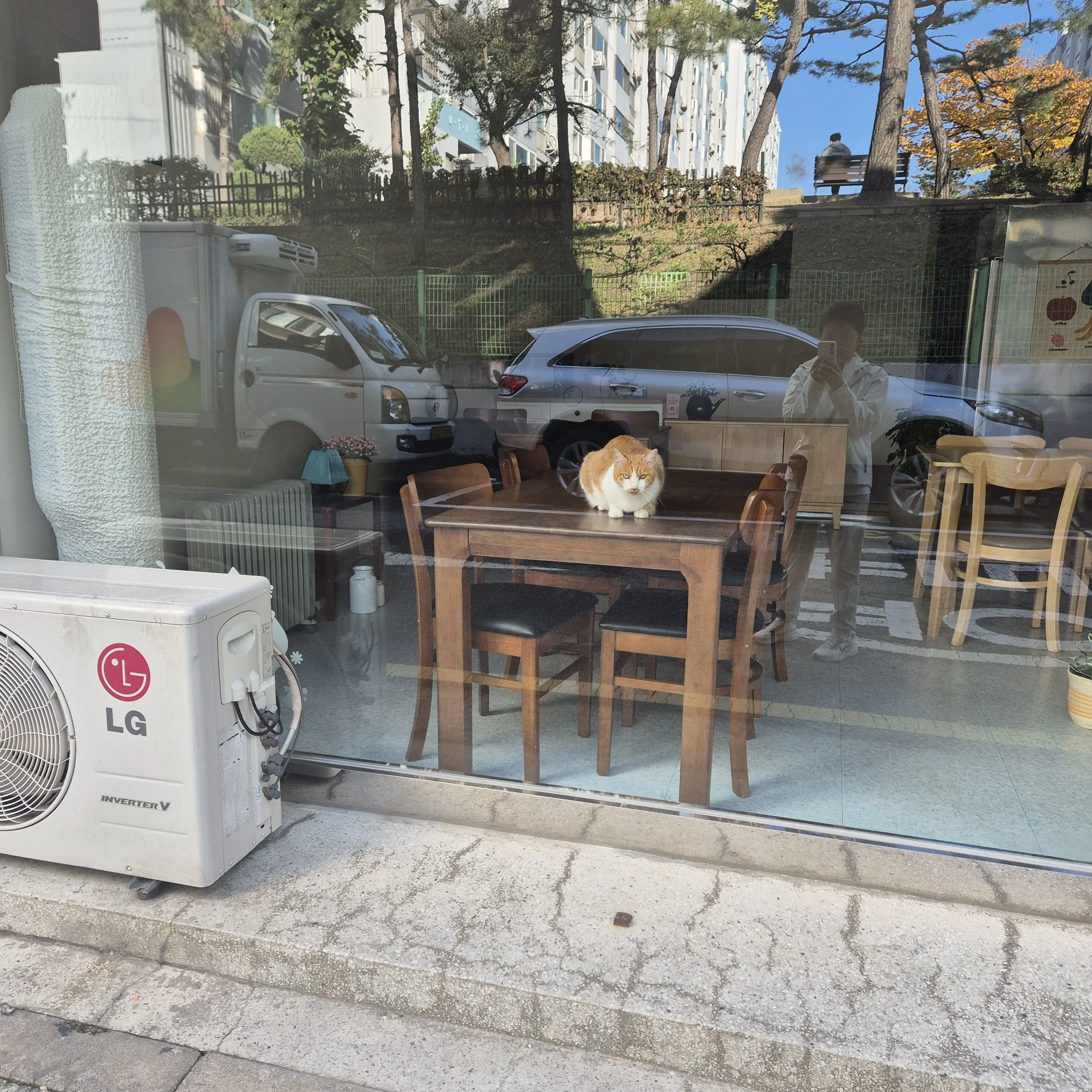 DecentSigh7320의 미수반 장산범