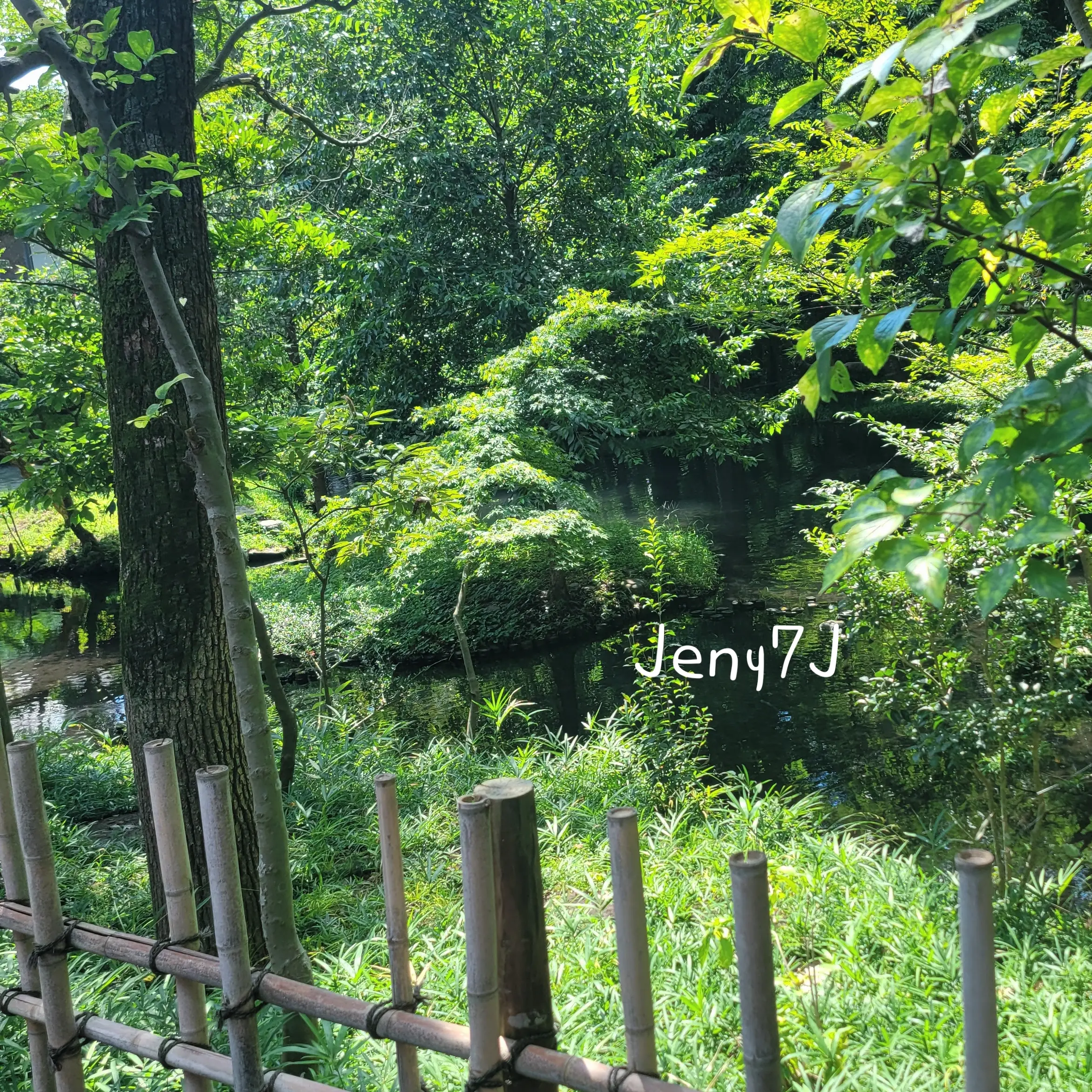 Jeny7J의 육성지