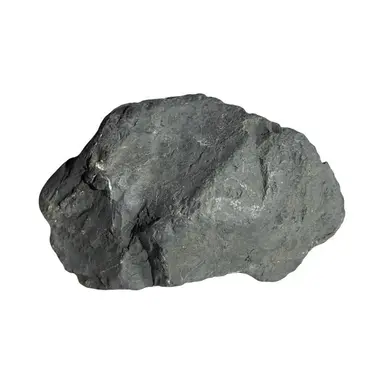 Profile image of Rock