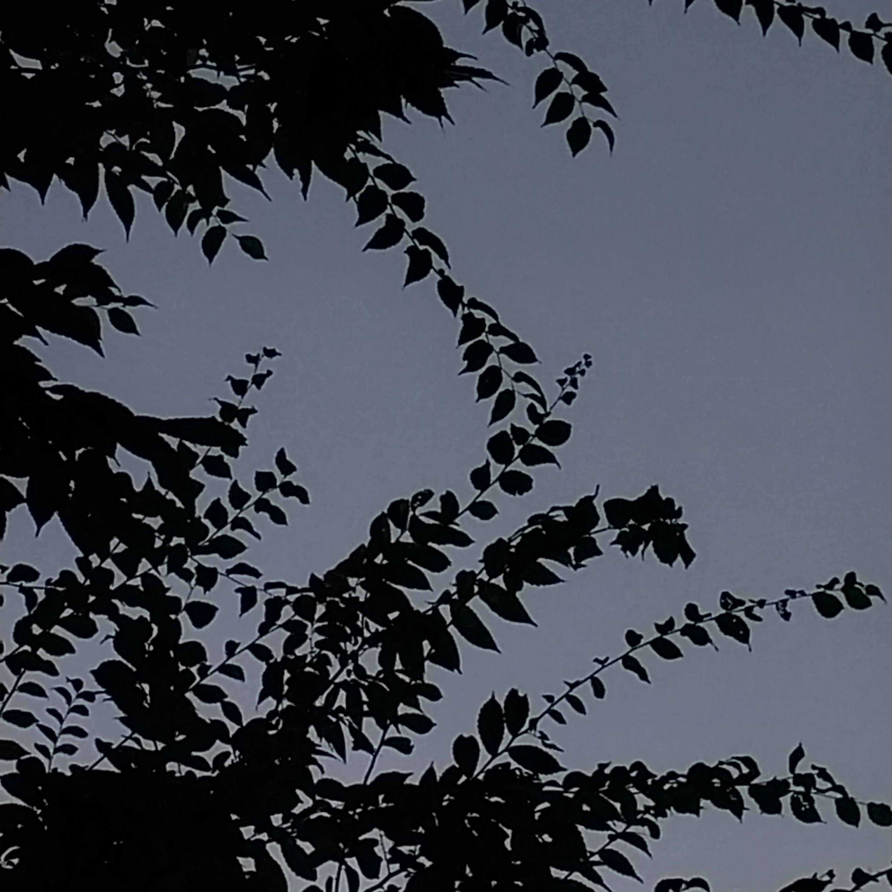 무이치로