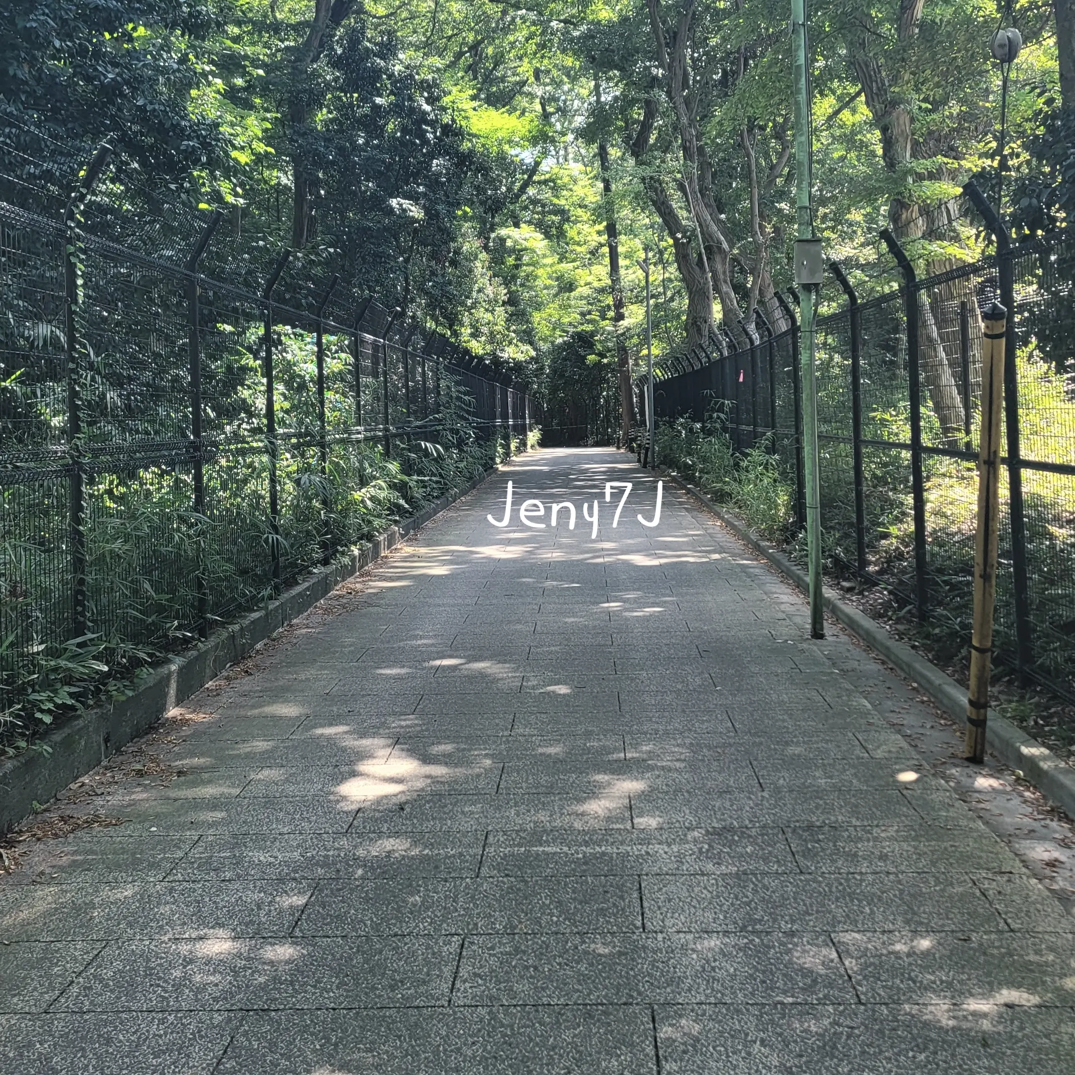 Jeny7J의 진호빈