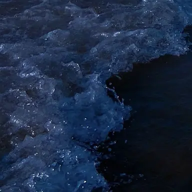 Profile image of 행크