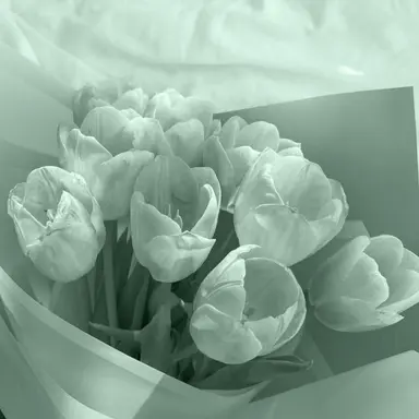 Profile image of 예엥