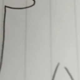 きみ