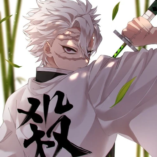 시나즈가와 사네미