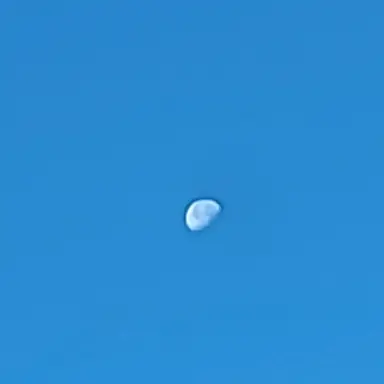 Profile image of 해진