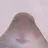 앙