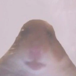 앙