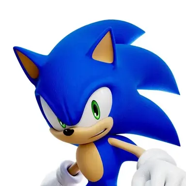 Profile image of ソニック