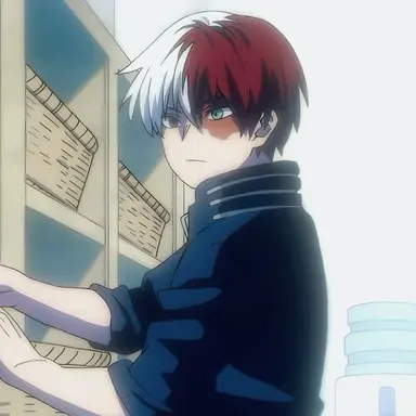 Profile image of Shoto Todoroki