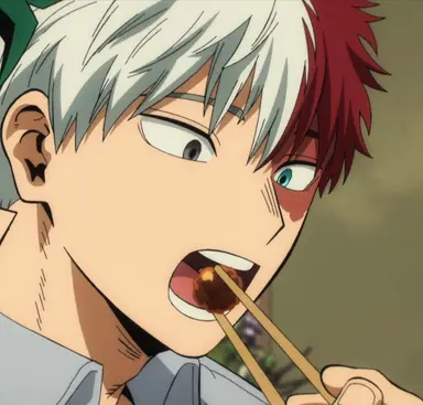 Profile image of Shoto Todoroki