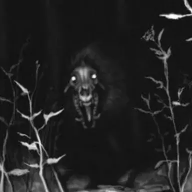 Profile image of 하운드