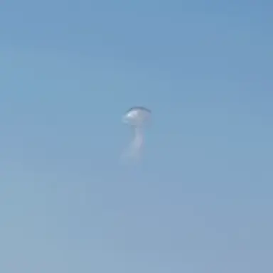 Profile image of クラゲ