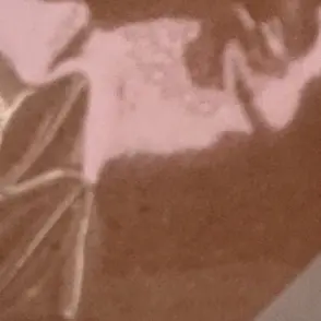 Profile image of 尾崎匠海