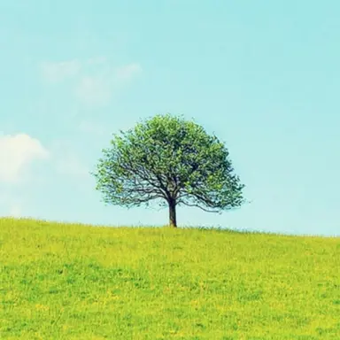 Profile image of 연구소