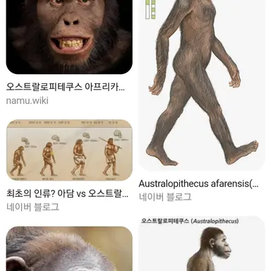 Profile image of 여우