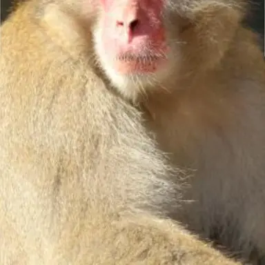 Profile image of オタク2