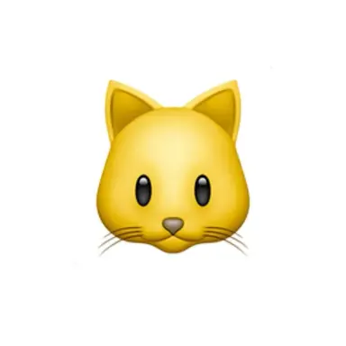 Profile image of 유이토