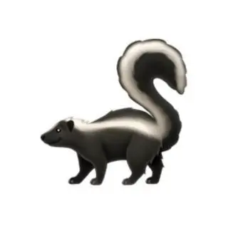 Profile image of 소우타