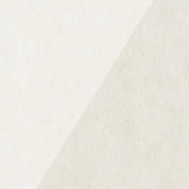 Profile image of アメリカ