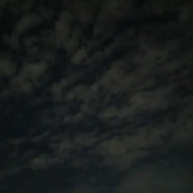 Profile image of 수현