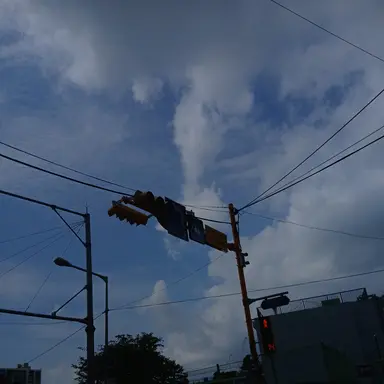 Profile image of 뜰팁