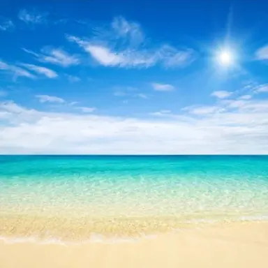 Profile image of 아르민