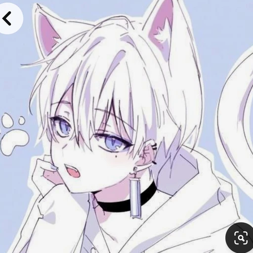 채운