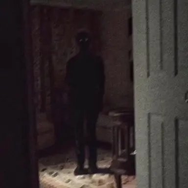 Profile image of Peter