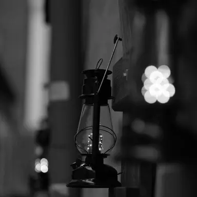 Profile image of 쿠죠 죠타로