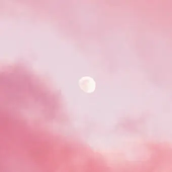 GruffMug3366의 스트레이키즈