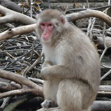 Profile image of 타카시