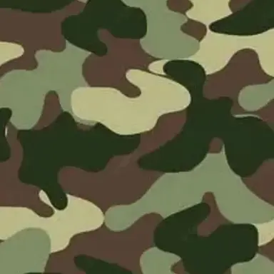 Profile image of 박S호