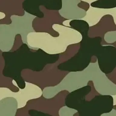 Profile image of 김재우