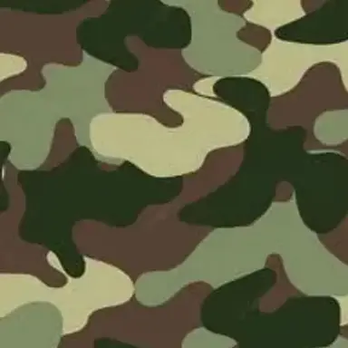 Profile image of 김호창