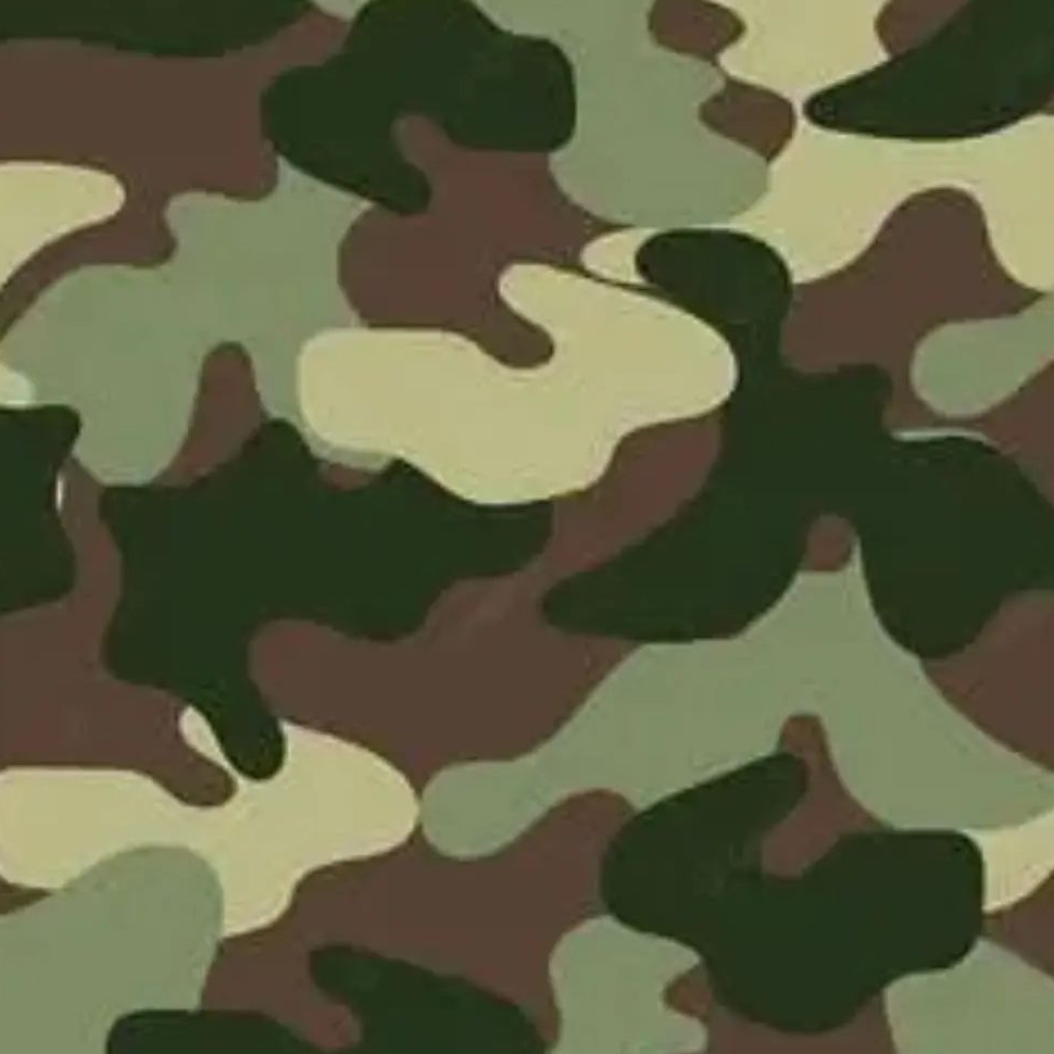 푸른거탑 롤러코스터2 이용주 자대배치 대표 이미지