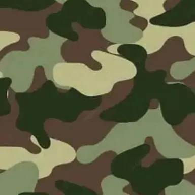 Profile image of 정진욱