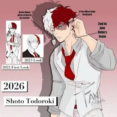 Profile image of Shoto Todoroki