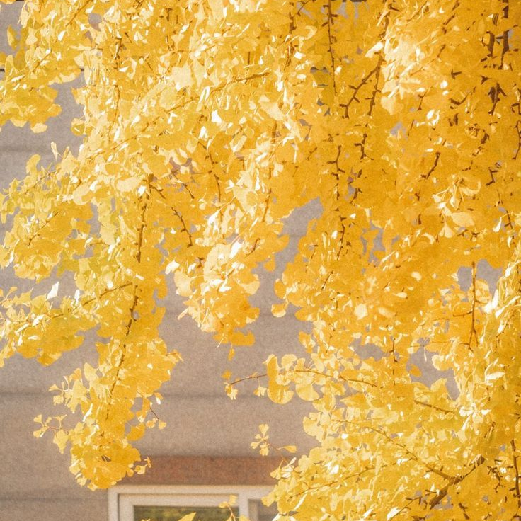 고양이 키우는 각경위 대표 이미지