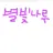 별빛나루