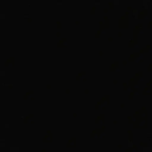 jia_b의 최승철